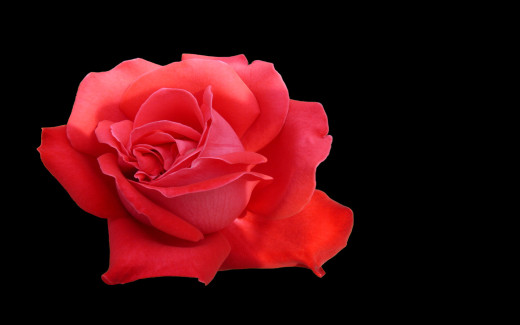 582735 (a): :1680x1050